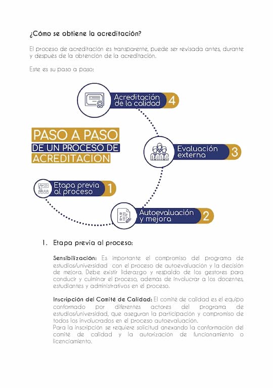Proceso 4