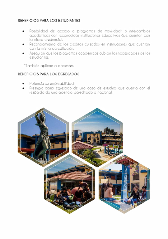 Proceso 7