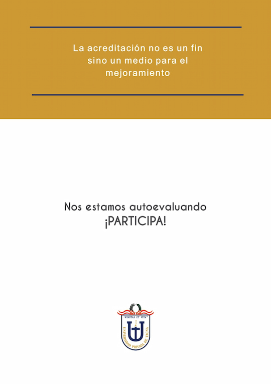 Proceso 8