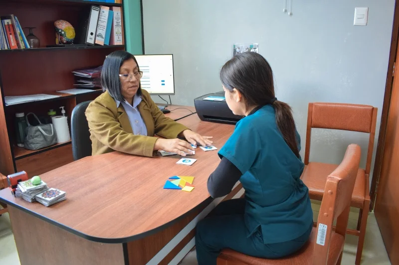 Mentor explaining project